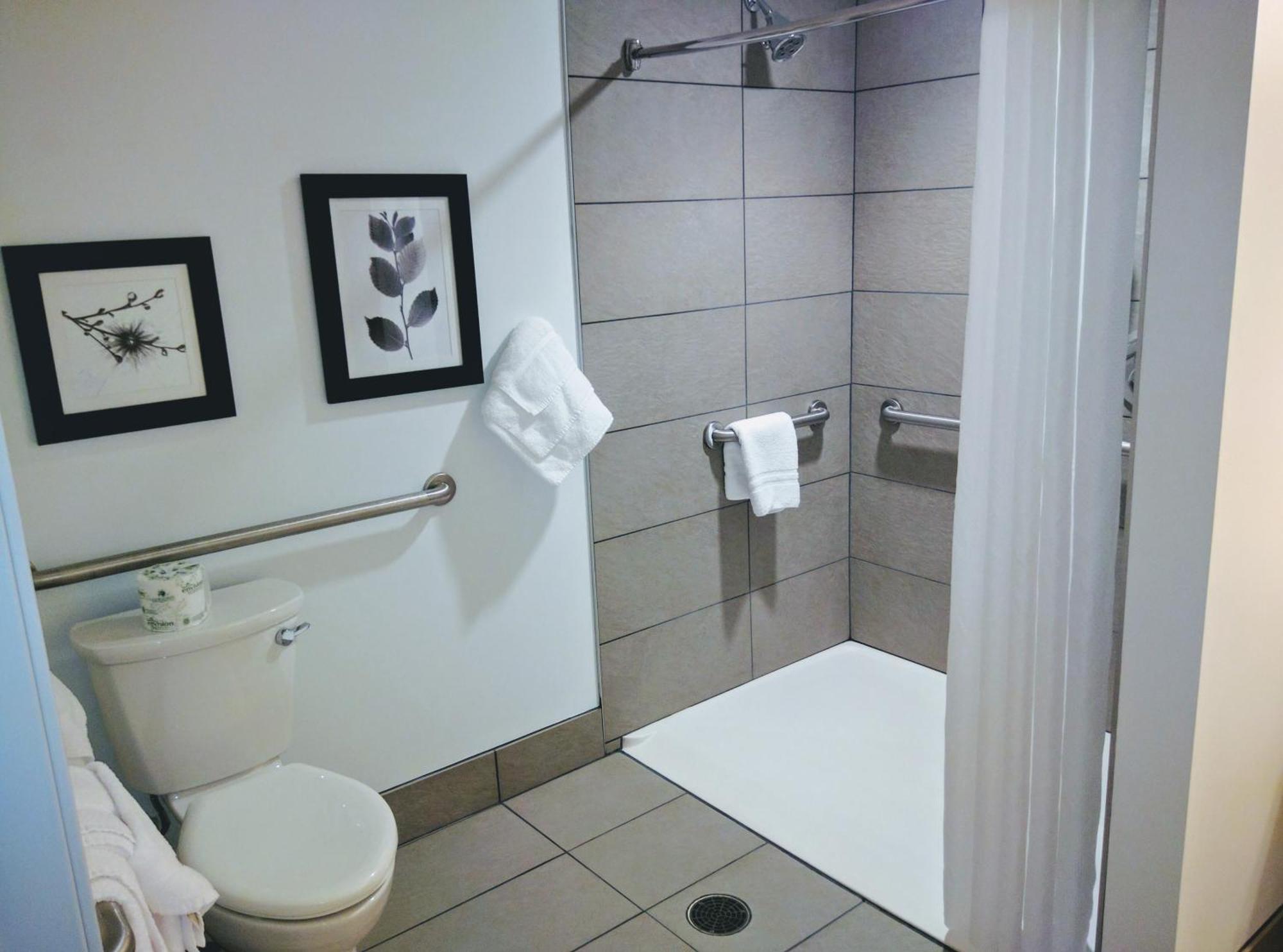 King Room Disability Access or Non-Smoking